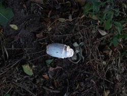 Бойцы «БАРС-Белгород» обследуют село Беловское на наличие мин