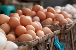 Директора магазина в Белгородской области наказали из-за завышения стоимости яиц