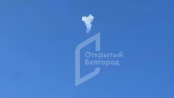 Средства ПВО сбили 20 беспилотников ВСУ над Белгородской областью ночью