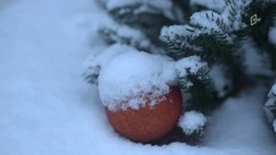 Похолодание до 11 градусов мороза, снег и гололедица ожидаются в Белгородской области в выходные  