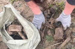 Рыбак из Старого Оскола во время рыбалки нашёл останки доисторического животного