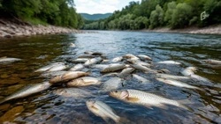 Белоблводоканал заплатит около 3 млн рублей за загрязнение реки Разумной