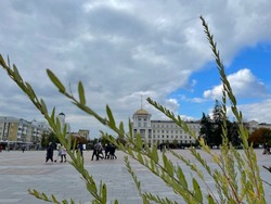 Сильный ветер до 18 м/с ожидается в Белгородской области завтра