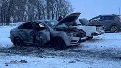 Более 70 беспилотников ВСУ выпущено по территории Белгородской области за сутки