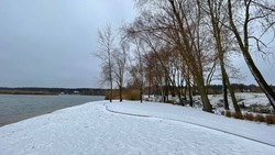 Метель и порывы ветра до 17 м/с ожидают белгородцев в последний рабочий день недели