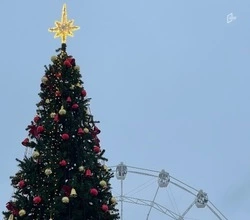 Мэрия Белгорода потратила более 11 млн рублей на покупку новогодней ели и украшений к ней