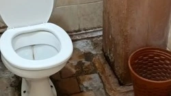 «Тихий ужас» вместо лагеря встретил белгородских детей в Псковской области