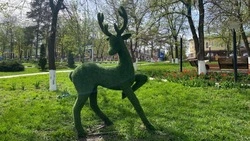 На поддержание порядка на улицах Корочи направят 10 млн рублей в 2026 году 