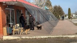 Хаб для доставки продуктов в приграничье создадут в Грайворонском округе