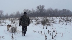 Несколько жителей Белгородской области в новогодние праздники попались на незаконной охоте