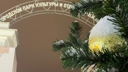 В пятницу белгородцев ожидает небольшое потепление и туман 