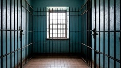 Задержанная на госгранице в Белгородской области омичка проведёт 14 лет в колонии за госизмену
