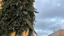 Мороз до 21 градуса ожидается в Белгородской области в пятницу