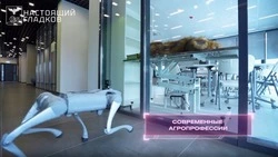 В Корочанском сельхозтехникуме открыли агрокванториум и спорткомплекс