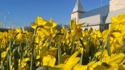 30-градусная жара ожидает белгородцев в четверг 