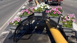 Старооскольская мэрия направит 2,7 млн рублей на крепления для цветочных вазонов