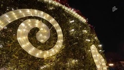 Новогодние гирлянды и световые инсталляции в Белгороде подключат к резервным источникам питания