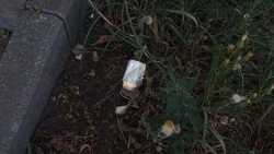 Гладков рассказал, как продвигается разминирование территорий в приграничье 