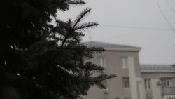 Сильные дожди и шквалистый ветер ожидаются в Белгородской области в четверг