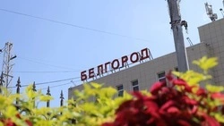 Белгородцы попросили не отменять сезонную электричку до Ржавы