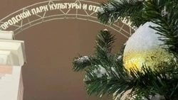 В пятницу белгородцев ожидает небольшое потепление и туман 