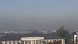 В белгородском Минприроды объяснили запах гари и дымку пожарами и туманом