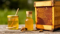 Мёд есть — в улей лезть: более трёх тысяч тонн мёда получили белгородские пчеловоды в прошлом году