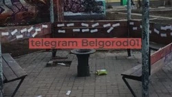 Белгородка выплатит штраф за расклеивание гигиенических прокладок по лавочкам в центе города