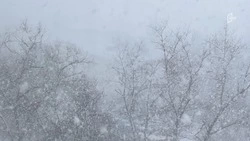 Дождь, снег и сильный ветер ожидают белгородцев в среду