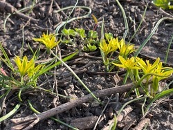 До 13 градусов тепла ожидается на Белгородчине во вторник