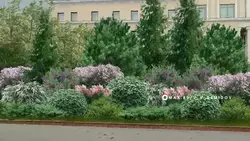 Клумбы у Вечного огня на Соборной площади Белгорода приведут в порядок к 9 мая 