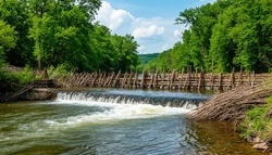 Три тысячи карасей погибли из-за незаконно построенной белгородцем плотины 