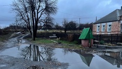 Жители улицы Полевой в Белгороде просят отремонтировать аварийный мост и дорогу 