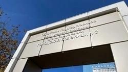 Мирный житель пострадал при атаке FPV-дрона в Шебекинском округе