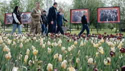 Александр Хинштейн ознакомился с преобразованиями Белгородской области