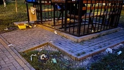 Белгородцы предложили организовать «святые рейды» для воспитания нарушающих порядок подростков