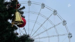 На Белгородскую область снова опустится туман в четверг