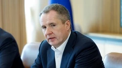 Экс-губернатор Белгородской области Вячеслав Гладков награждён орденом Александра Невского
