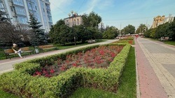 Обустройство клумб в центре Белгорода обходится бюджету в 6,5 млн рублей