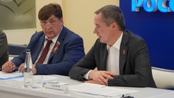 Белгородское отделение «Единой России» передаст выделенные на агитацию деньги в Фонд помощи детям