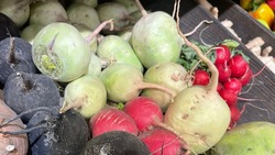 Фейк: В Белгородской области ограничат вывоз продуктов питания