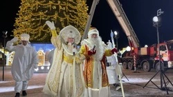 Дед Мороз зажёг огни главной белгородской ёлки: фоторепортаж «Открытого Белгорода»