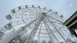 Белгородцы могут выбрать вариант подсветки колеса обозрения в парке «Калейдоскоп»