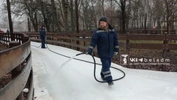 Ледовые дорожки в Центральном парке и на улице Есенина вновь закрыли из-за потепления 