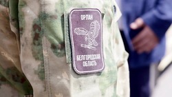 Двое бойцов белгородского подразделения «Орлан» ранены при ударе FPV-дрона ВСУ