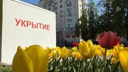 Книга о буднях белгородцев «Укрытие» попала в длинный список литературной премии «Большая книга»