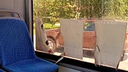 Рвущиеся на окнах автобусов портреты ветеранов ВОВ возмутили белгородцев