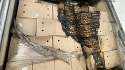 Белгородец случайно сжёг рефрижератор с яйцами дымовой шашкой