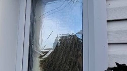 ВСУ атаковали Белгородскую область 150 раз в течение суток 