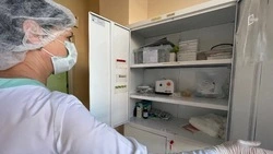 Закупка вакцин от пневмококковой инфекции обойдётся бюджету Белгородской области в 22,8 млн рублей